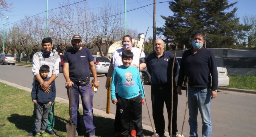 La municipalidad de Ramallo plantó álamos junto a la comunidad educativa de la escuela nº26 