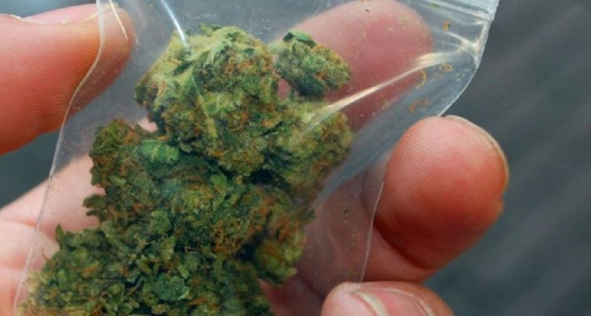 Detenidos por tenencia de marihuana