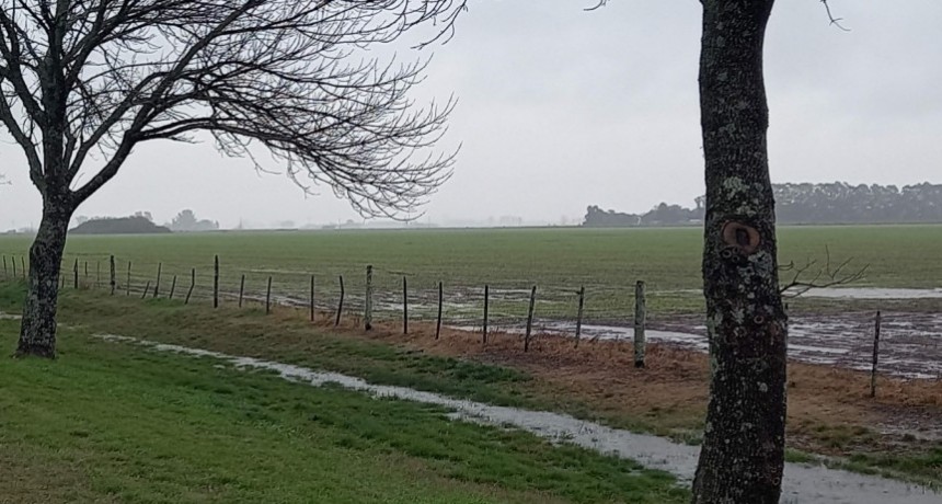 El Niño llegó con abundantes lluvias en el norte de la provincia de Buenos Aires