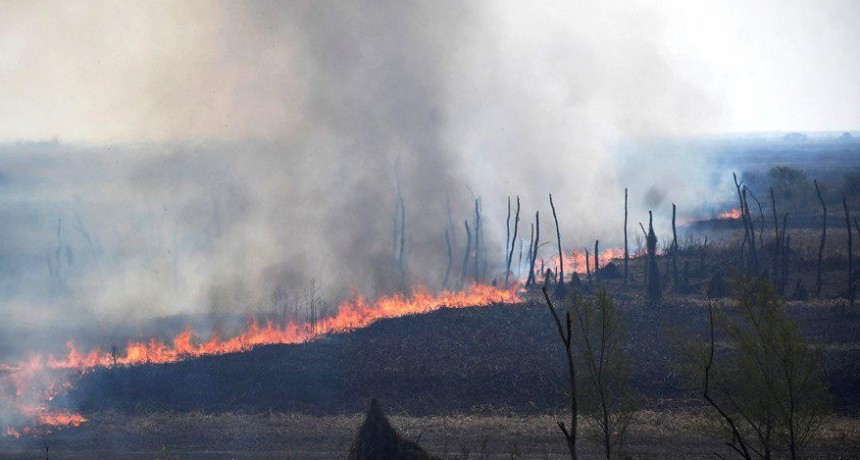 Defensa Civil de Ramallo activa la Mesa del Fuego ante alertas por sequía y riesgo de incendios