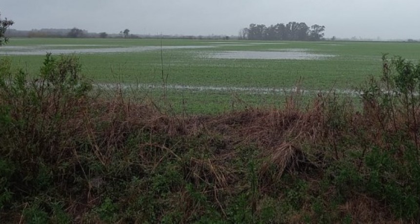 Lluvias intensas y desiguales en el norte bonaerense