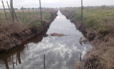 Muere un vecino de Villa Ramallo ahogado en un canal de desagüe en La Violeta