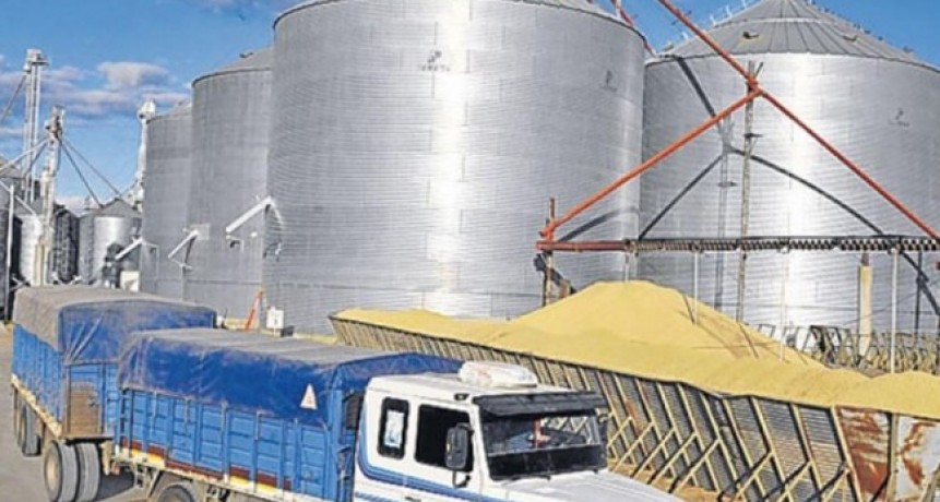 Los acopiadores en pie de guerra