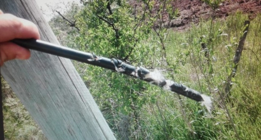 Una situación que se repite