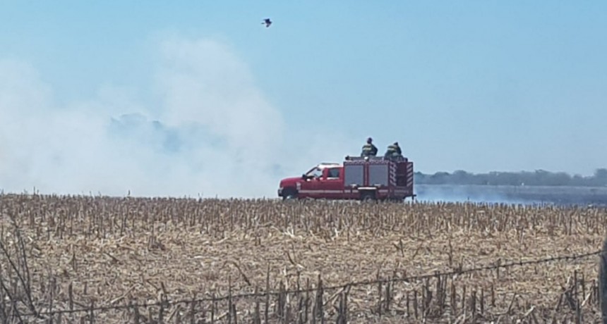 Arduo trabajo de bomberos para combatir un incendio en la zona rural