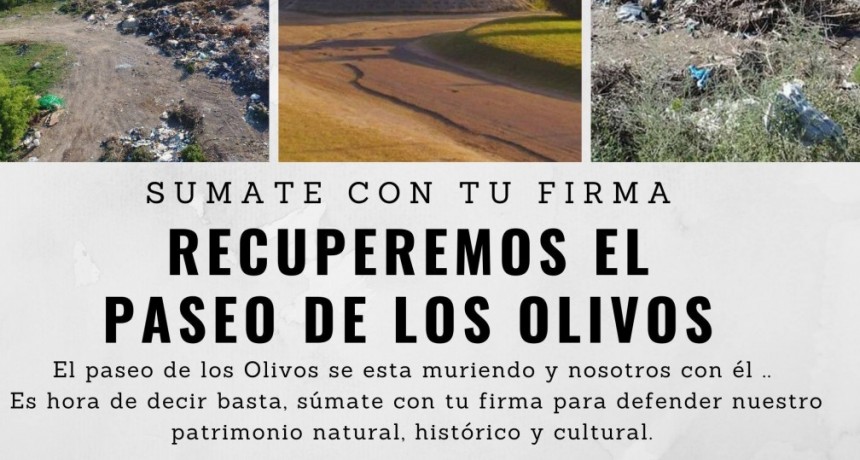 Piden recuperar el Paseo de los Olivos