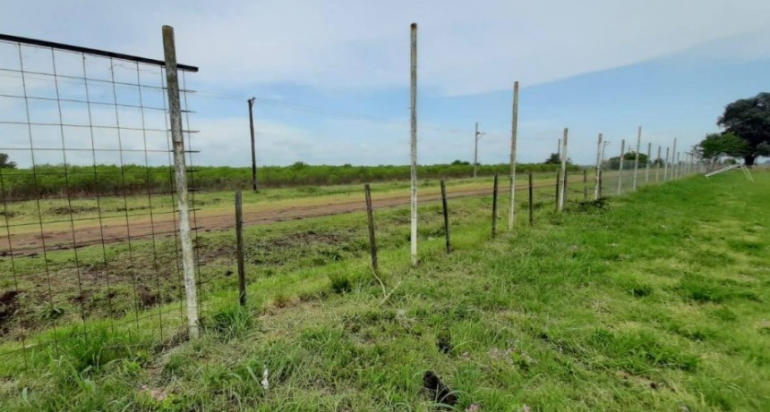 Resistencia a la autoridad, robo del cerco perimetral del club Los Andes y violencia de género