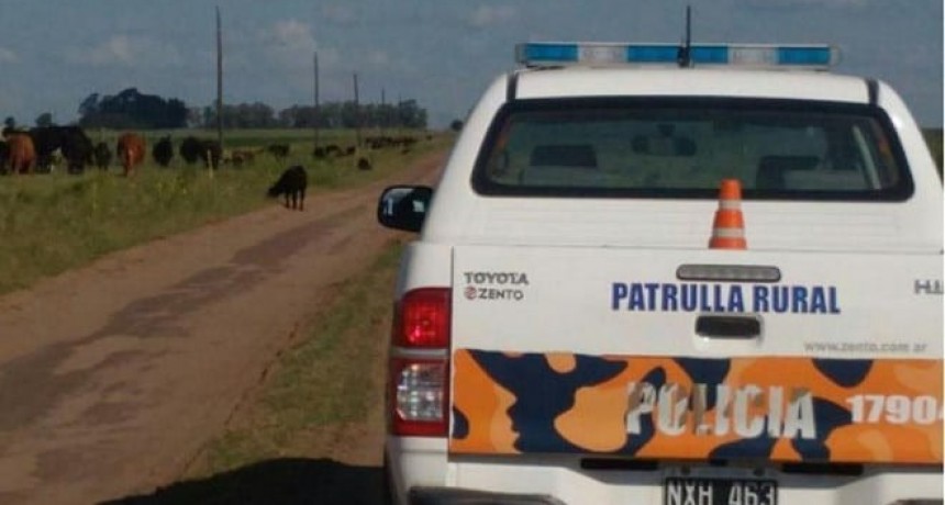 Un robo en la zona rural puso en alerta a la policía ramallense