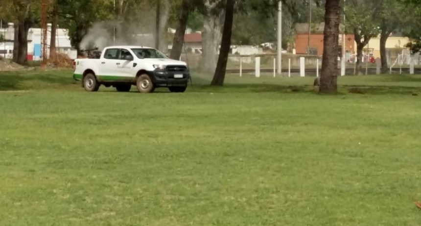Comienza la fumigación en las cinco localidades