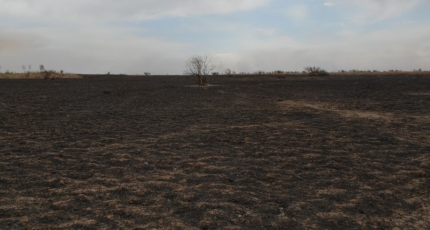 Islas entrerrianas: tierra arrasada