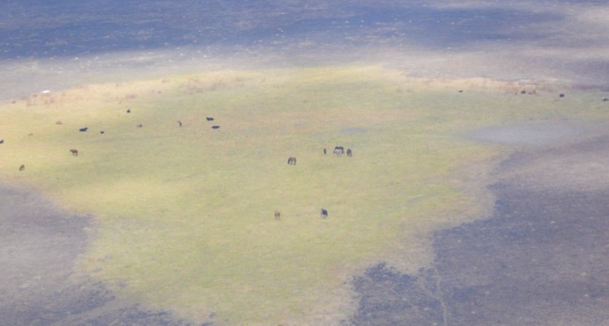 El alivio lo trajo la lluvia