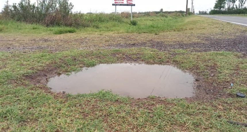 Lluvias en el norte bonaerense: alivio para los cultivos de invierno