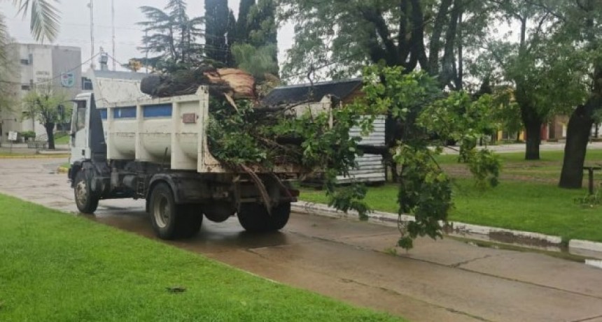 El fuerte temporal con vientos de más de 100 km/h y lluvias intensas dejó daños estructurales, inundaciones y cortes de servicios