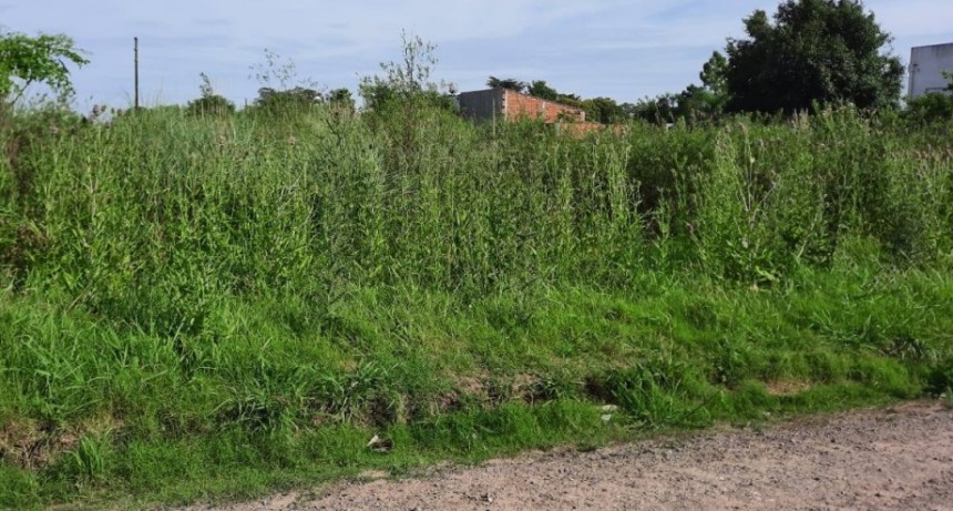 Reclamo vecinal en Villa Ramallo