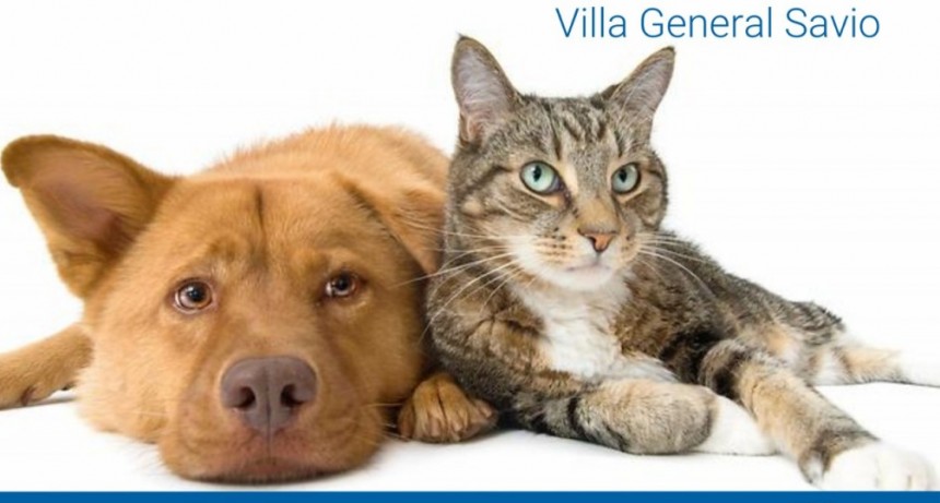 Castraciones en Villa General Savio