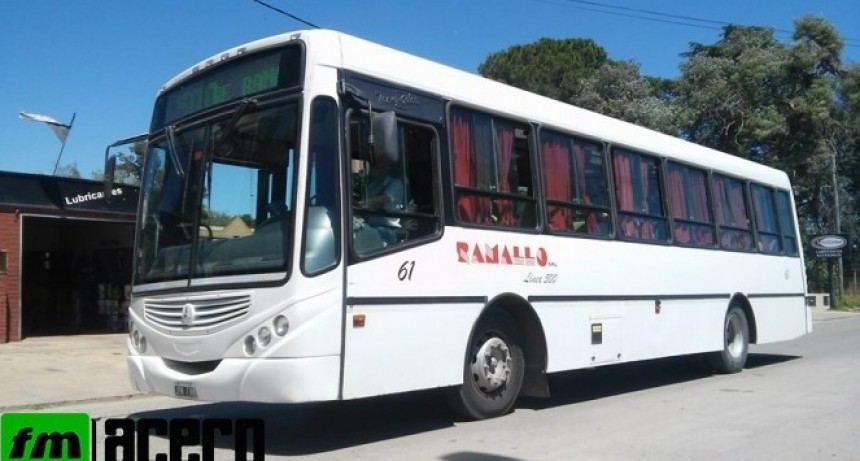 Sin transporte público  local