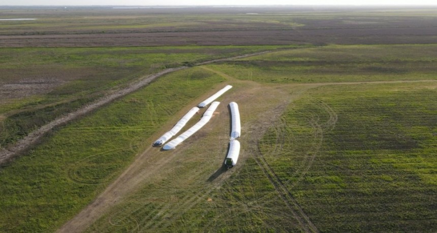 UPVA pidió la intervención de la justicia Federal 