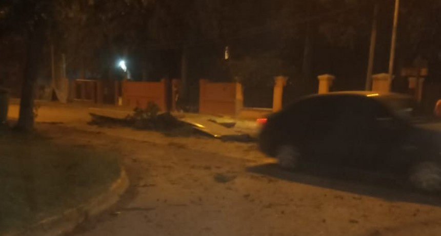 Voladuras de techos, caídas de arboles, postes de luz y telefonía dejo el paso del temporal