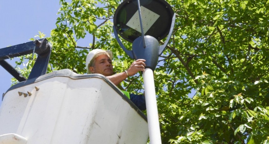 Recambio lumínico: el municipio empezó a colocar iluminación LED en la avenida Savio de Ramallo