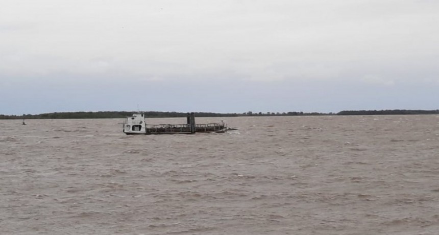 Ganaderos en alerta: retiran los animales de las islas ante la inminente crecida del río Paraná