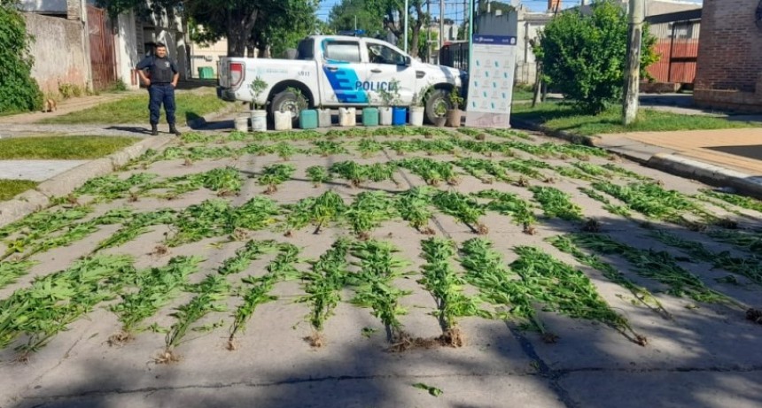 Un allanamiento en Villa Ramallo reveló un inesperado hallazgo