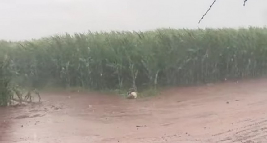 Abundantes lluvias impactaron en el norte de la provincia de Buenos Aires