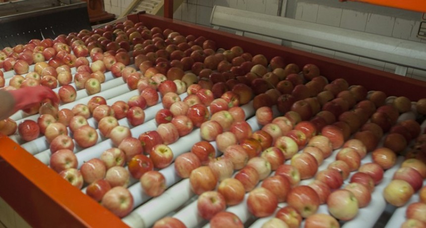 Importaciones de alimentos: un golpe a la producción nacional