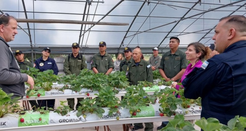 San Pedro aporta ciencia al fin del mundo: el INTA capacita a los futuros invernantes antárticos en hidroponía