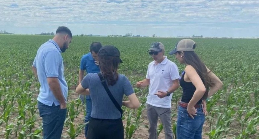 Intercambio que acerca mundos: una delegación japonesa recorrió la región