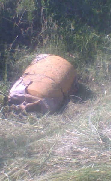Barrio Santa María: Tiran colchones en un desagüe natural