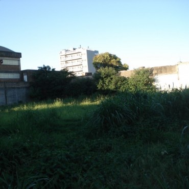 Una imagen vale más que mil palabras