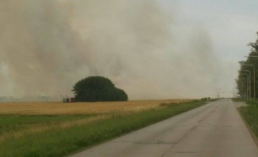 Intenso trabajo de bomberos voluntarios