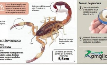 Dos personas fueron atendidas en el hospital 