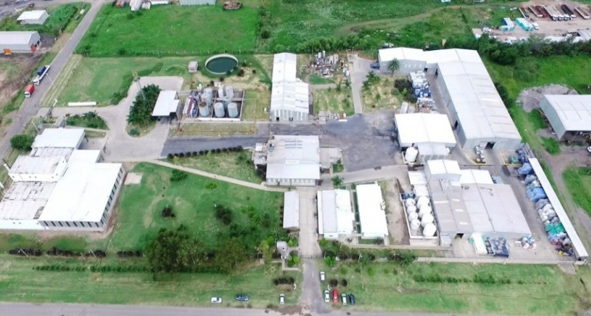 ProchemBio cierra el 2019 con proyectos de inversión para el 2020