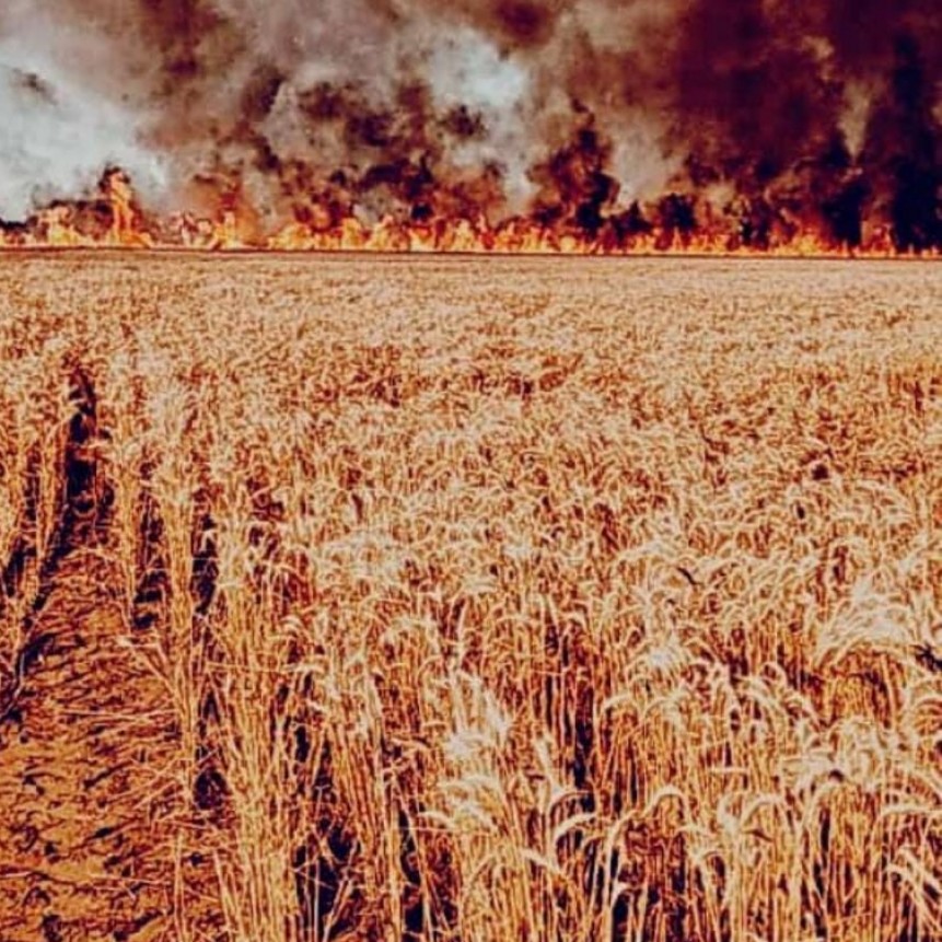 Incendio de campos