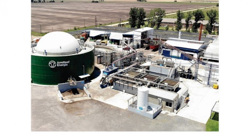 Arre Beef comenzó a producir energía con residuos orgánicos