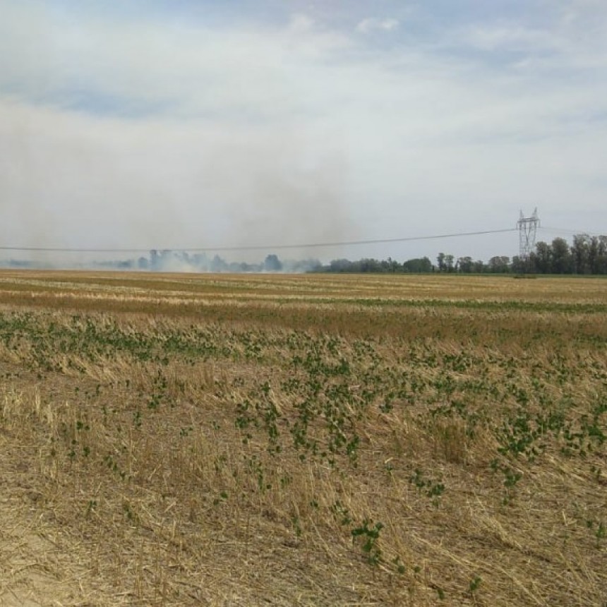 Incendio al costado de la ruta 9 
