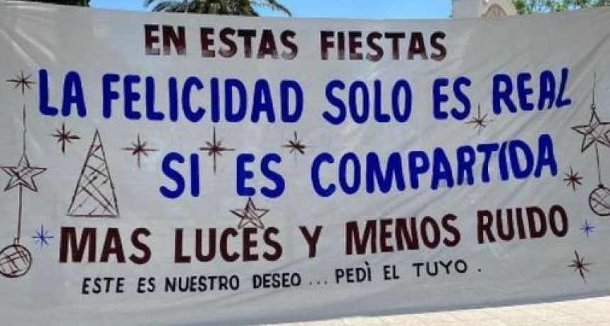  La ONG Pirotecnia Cero pidió mayores controles al municipio y denunció irregularidades