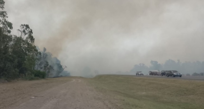 Un incendio de pastizales en la banquina de la ruta 9 movilizó a personal de bomberos de Ramallo y San Nicolás