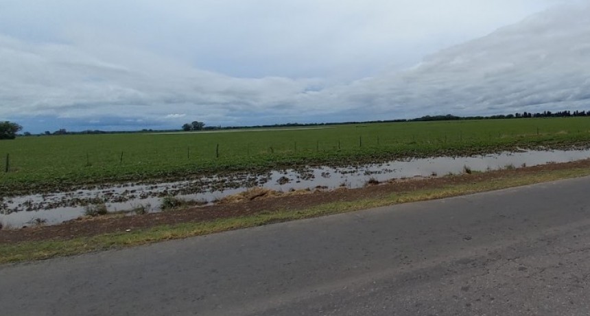 El Niño se consolida: lluvias abundantes transforman el norte de Buenos Aires