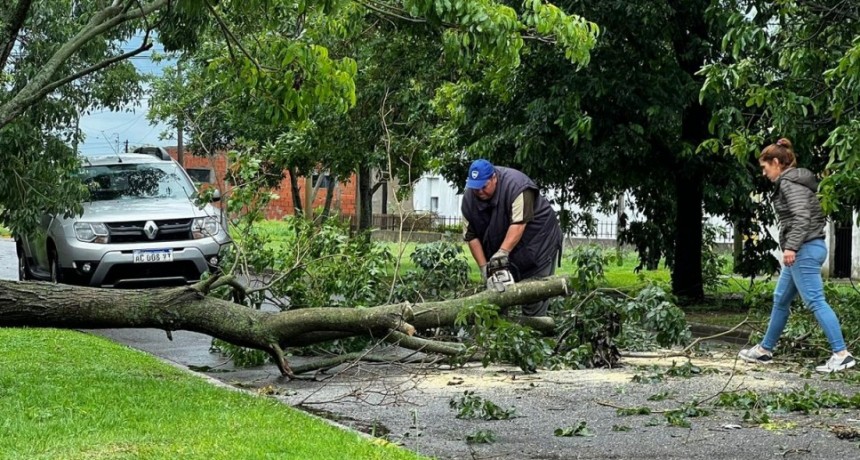 Mauro Poletti recorrió Pérez Millán tras el temporal