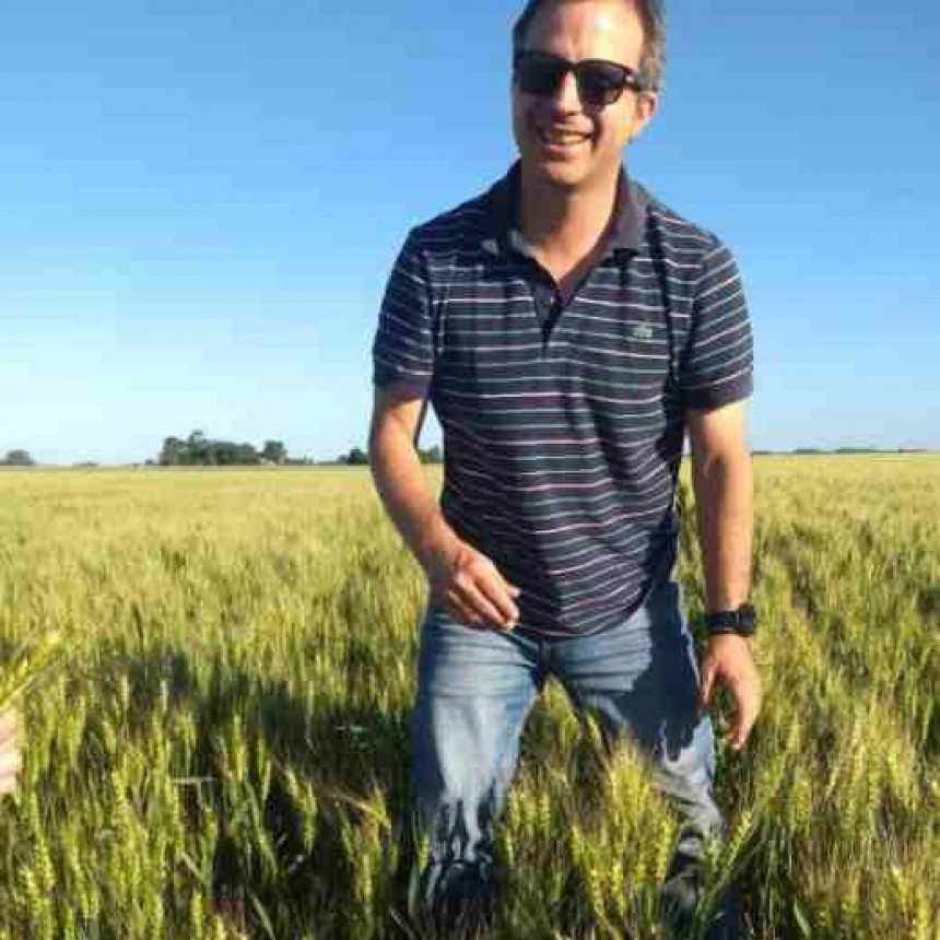 Trigo en alza y legumbres bajo presión: la campaña que marcó el pulso del norte bonaerense