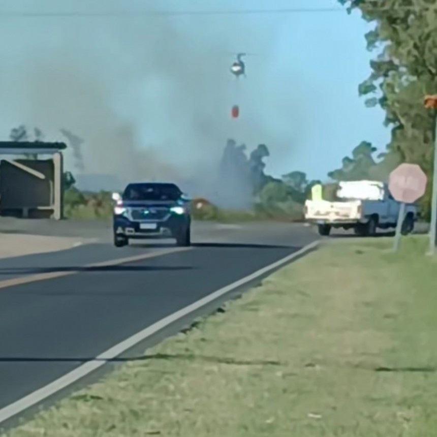 Tres intervenciones en un d&iacute;a: incendio forestal, choque fatal y alerta en Ruta 9
