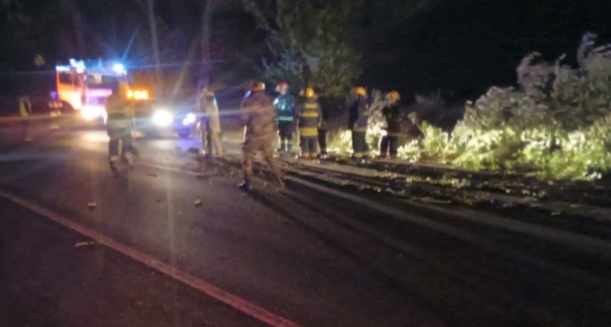 Temporal intenso y m&uacute;ltiples intervenciones en el norte bonaerense