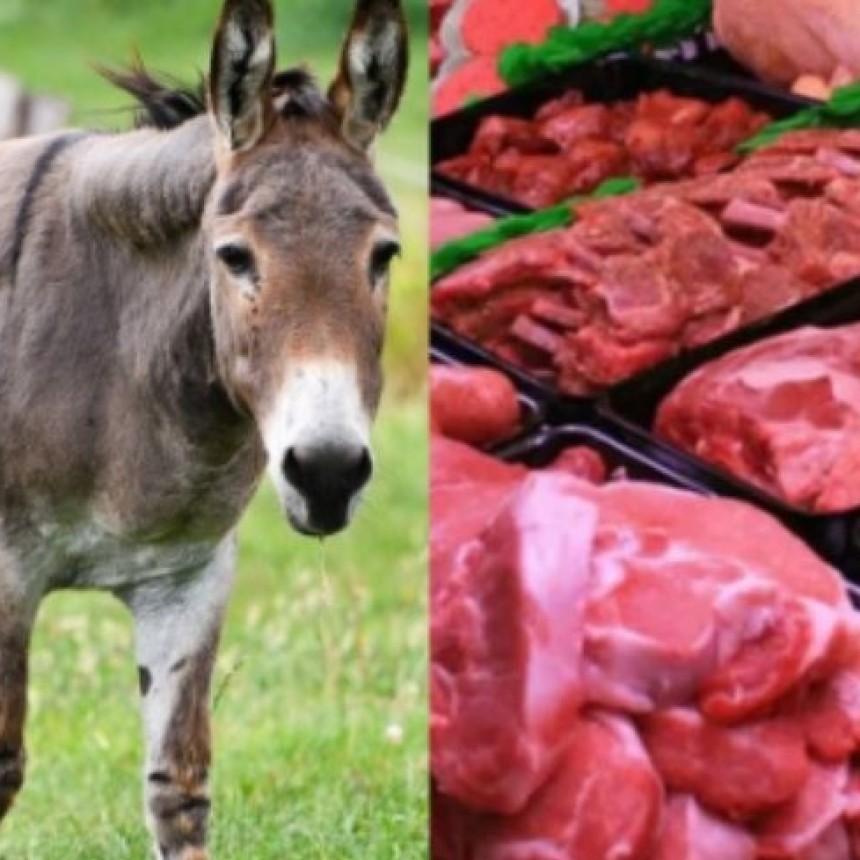 &ldquo;La carne de burro es de muy buena calidad&rdquo;: impulsan el consumo desde la Patagonia