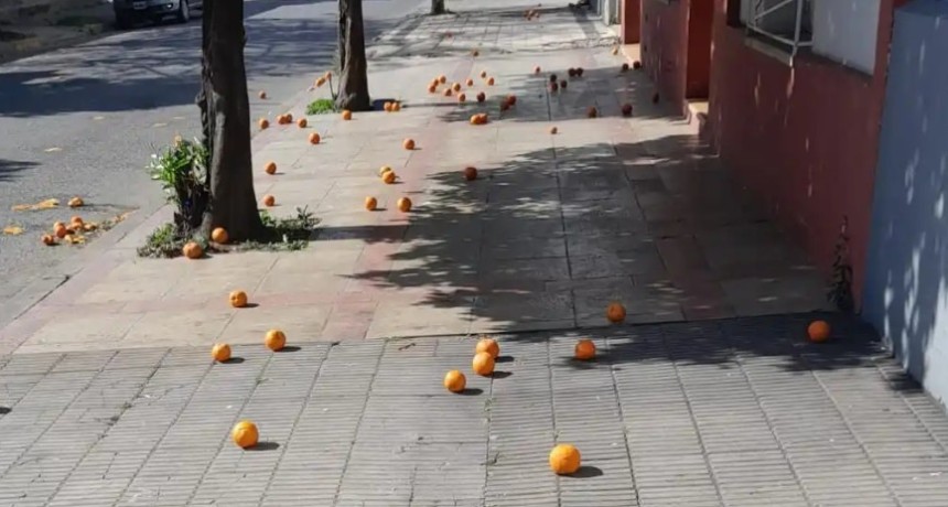 Vietnam pone la mirada en la naranja amarga y abre una inesperada oportunidad para la regi&oacute;n